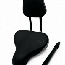 SNAPnGO Travel Seat with Backrest